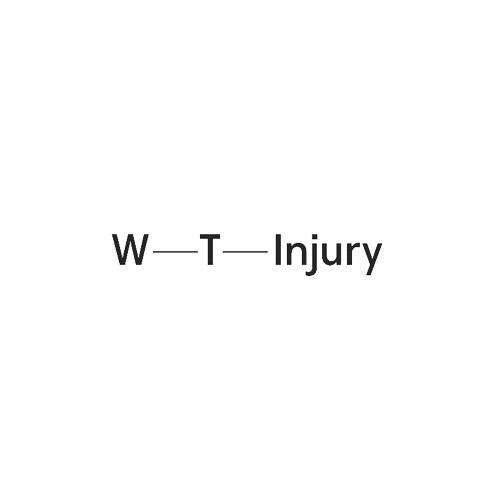 wt injury