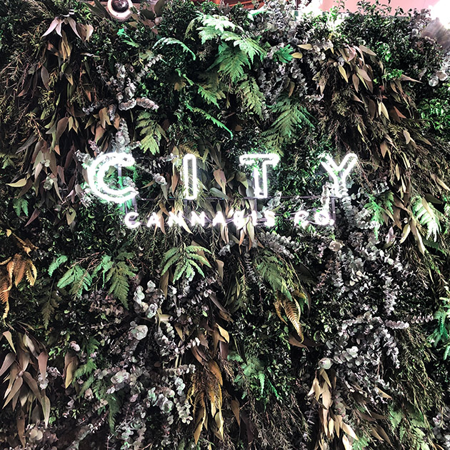 city cannabis