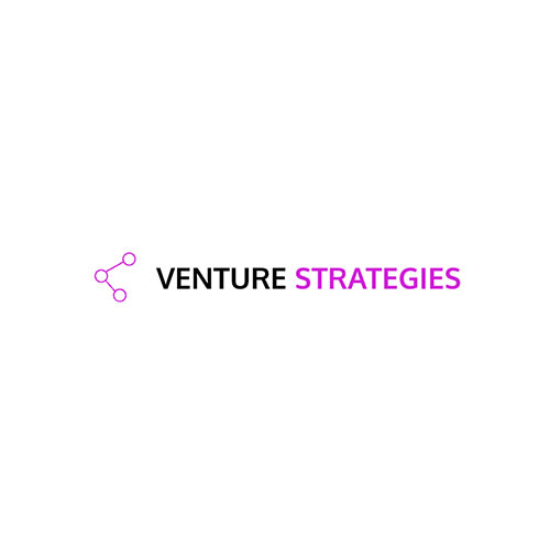 venture strategies